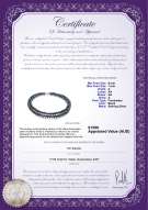 Product certificate: FW-B-A-67-N-DBL