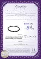 Product certificate: FW-B-AAA-1011-N