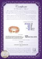 Product certificate: FW-P-AA-78-B-DBL