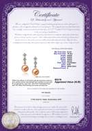 Product certificate: FW-P-AAAA-910-E-Rozene