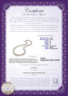 Product certificate: FW-W-A-89-N-Joyce
