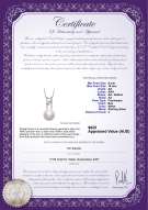 Product certificate: FW-W-AA-910-P-Hiriko