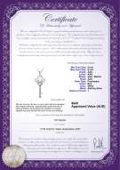 Product certificate: FW-W-AAA-89-P-Key