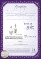 Product certificate: FW-W-AAA-910-E-Deborah