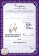 Product certificate: FW-W-AAA-910-E-Lucille