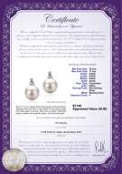Product certificate: FW-W-AAAA-1011-E-Hailey