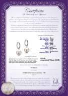 Product certificate: FW-W-AAAA-1011-E-Rosalind