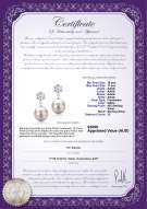 Product certificate: FW-W-AAAA-1011-E-Snow