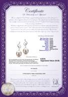 Product certificate: FW-W-AAAA-89-E-Priscilla
