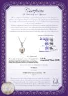 Product certificate: FW-W-AAAA-89-P-Nerea