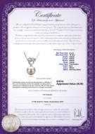 Product certificate: FW-W-AAAA-910-P-Adelina