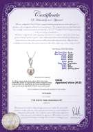 Product certificate: FW-W-AAAA-910-P-Shamara