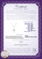 Product certificate: FW-W-AAAA-910-P-Vondra