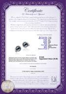 Product certificate: JAK-B-AA-78-E-Angelina