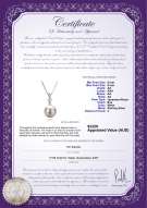 Product certificate: JAK-W-AA-89-P-Ellice