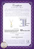 Product certificate: JAK-W-AAA-89-P-Gisela