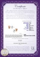 Product certificate: P-AA-67-E