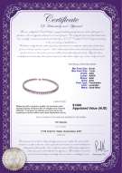 Product certificate: P-AAA-67-N-Olav