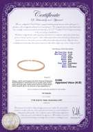 Product certificate: P-AAA-67-N