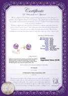 Product certificate: P-AAAA-910-E-OLAV