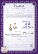 Product certificate: SS-W-AAA-1011-E-Ivana
