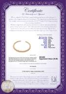 Product certificate: SSEA-G-N-C303