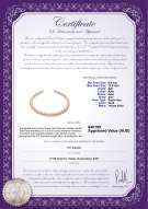Product certificate: SSEA-G-N-C305