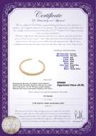 Product certificate: SSEA-G-N-C307