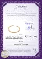 Product certificate: SSEA-G-N-C309