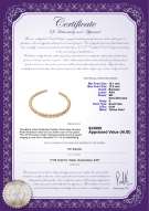 Product certificate: SSEA-G-N-C311