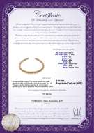 Product certificate: SSEA-G-N-C317