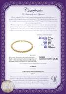 Product certificate: SSEA-G-N-Q211