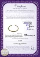 Product certificate: SSEA-MULTI-N-C316