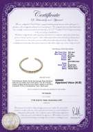 Product certificate: SSEA-MULTI-N-C321