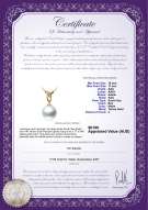 Product certificate: SSEA-W-AAA-1011-P-Monica
