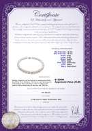 Product certificate: SSEA-W-AAA-1216-N