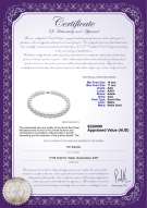 Product certificate: SSEA-W-AAA-1417-N