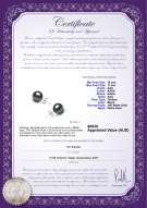 Product certificate: TAH-1011-E