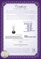Product certificate: TAH-B-AAA-1011-P-Hilary