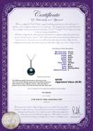 Product certificate: TAH-B-AAA-1011-P-Ross