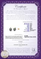 Product certificate: TAH-B-AAA-910-E-Eternity-YG-L