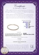 Product certificate: W-AA-859-N-Akoy