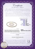 Product certificate: W-AAA-78-S